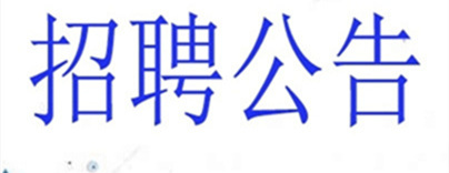 天津领创信息咨询有限公司面向社会公开招聘工作人员