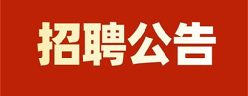 北京市十一学校